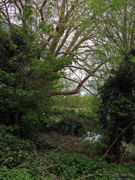 Уитни — историческое наследие Англии