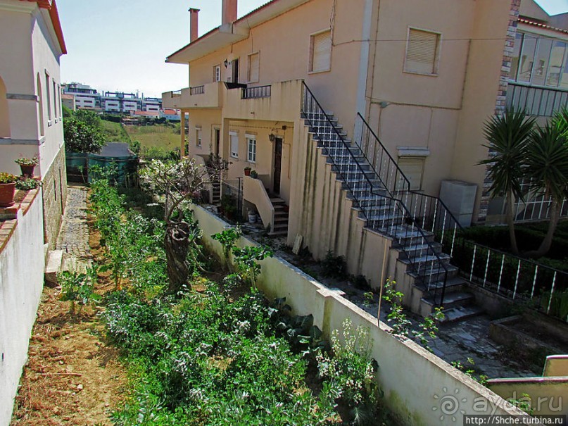 Мафра современная. Настоящее и прошлое рядом