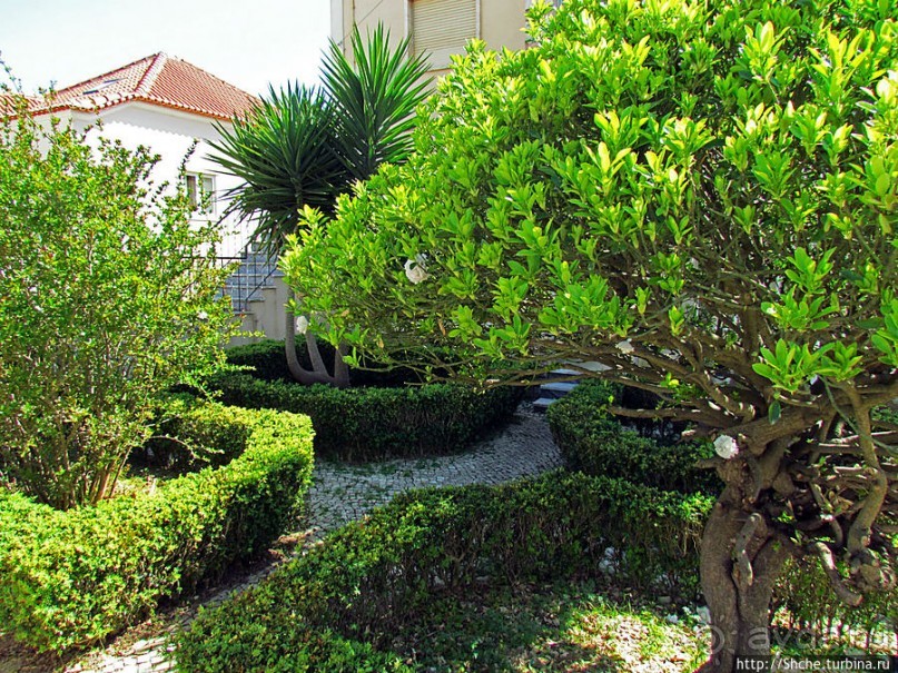 Мафра современная. Настоящее и прошлое рядом