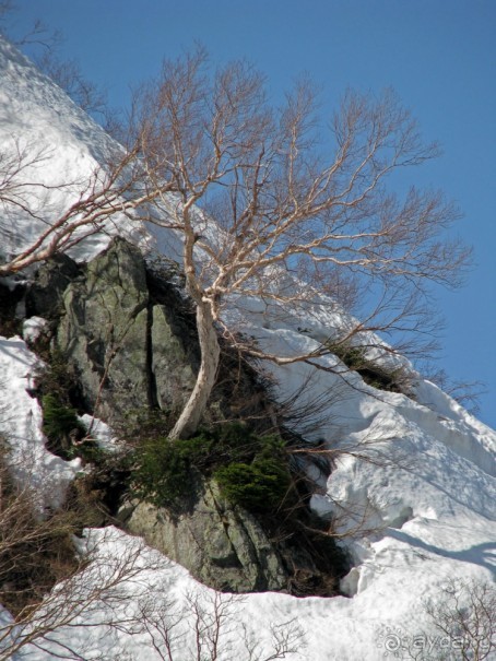 Высокотехнологичные сверх-фотогеничные Альпы... Японии