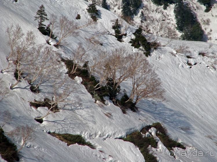 Высокотехнологичные сверх-фотогеничные Альпы... Японии