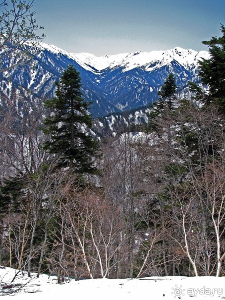 Высокотехнологичные сверх-фотогеничные Альпы... Японии