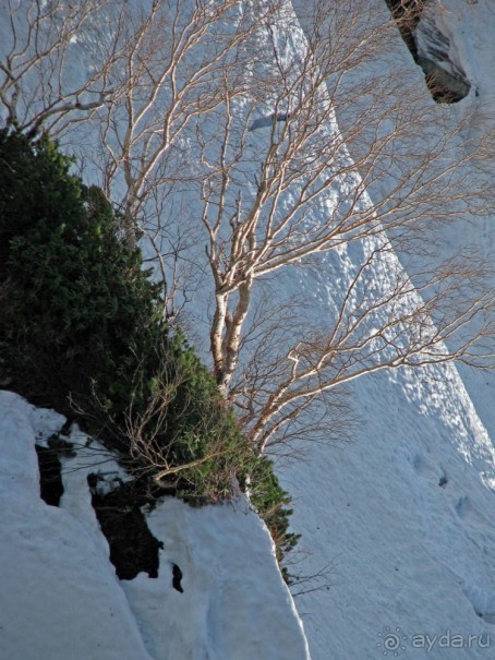 Высокотехнологичные сверх-фотогеничные Альпы... Японии