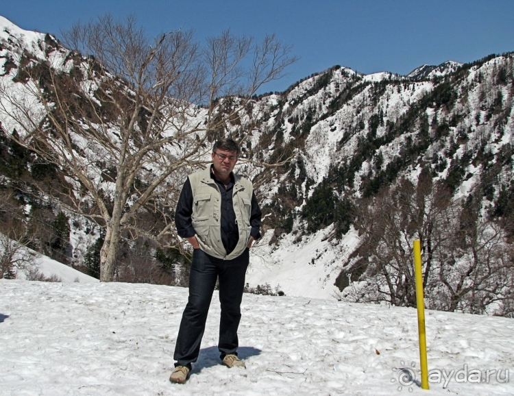 Высокотехнологичные сверх-фотогеничные Альпы... Японии