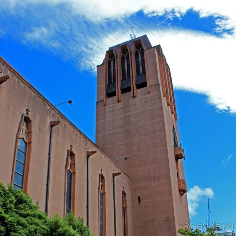 Как минимум любопытный, Веллингтонский собор св. Павла