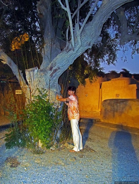 Старейшая мечеть Эмиратов (1446г.) и пара фортов рядом