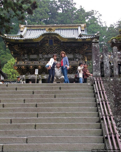 "Никогда не говори "прекрасно", если не видел Никко"