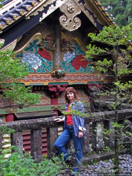 "Никогда не говори "прекрасно", если не видел Никко"