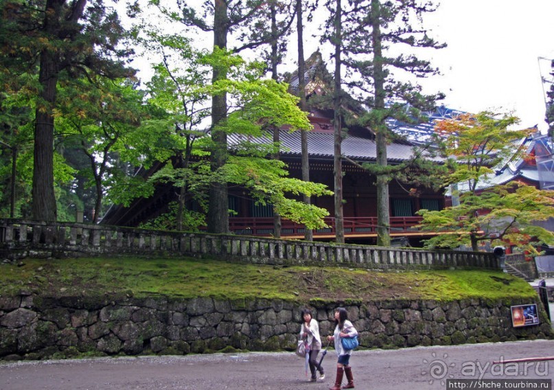 "Никогда не говори "прекрасно", если не видел Никко"