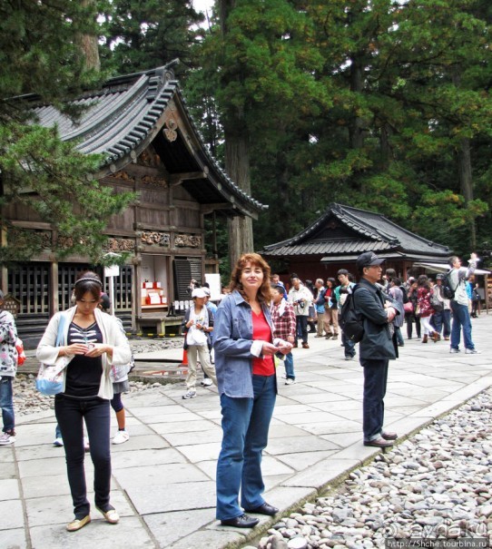 "Никогда не говори "прекрасно", если не видел Никко"