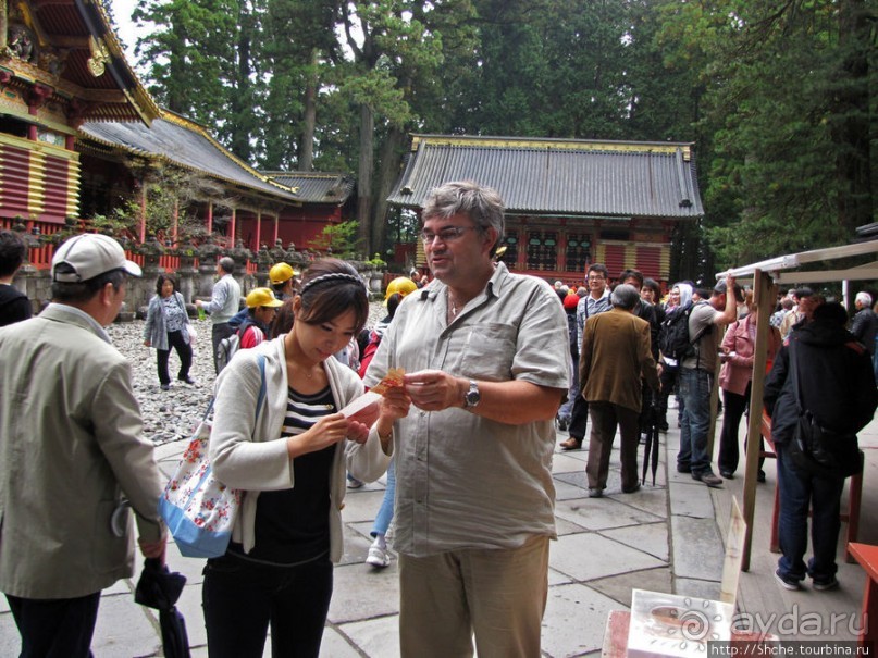 "Никогда не говори "прекрасно", если не видел Никко"