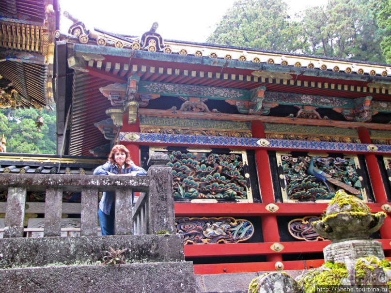 "Никогда не говори "прекрасно", если не видел Никко"