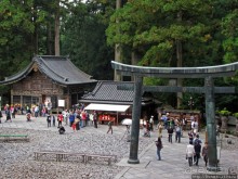 "Никогда не говори "прекрасно", если не видел Никко"