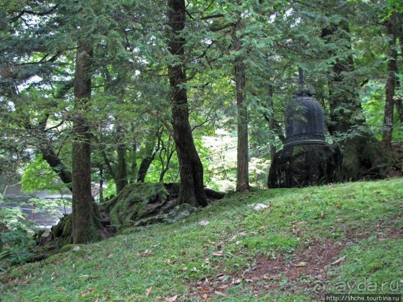 "Никогда не говори "прекрасно", если не видел Никко"