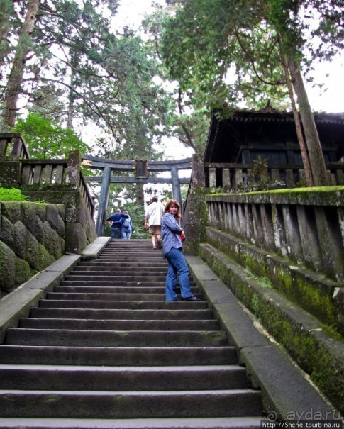 "Никогда не говори "прекрасно", если не видел Никко"