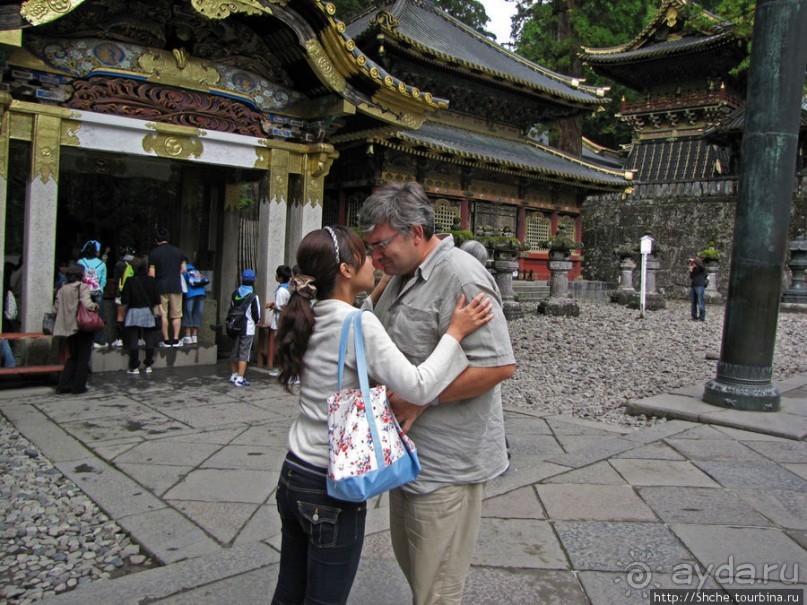 "Никогда не говори "прекрасно", если не видел Никко"