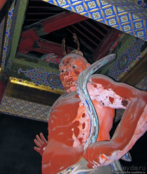 "Никогда не говори "прекрасно", если не видел Никко"