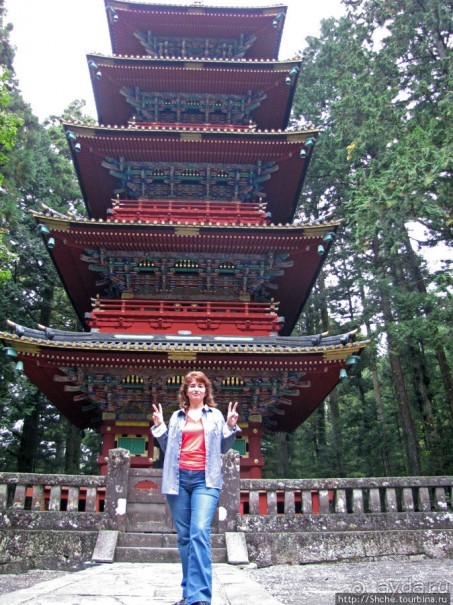 "Никогда не говори "прекрасно", если не видел Никко"