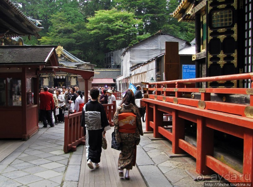 "Никогда не говори "прекрасно", если не видел Никко"