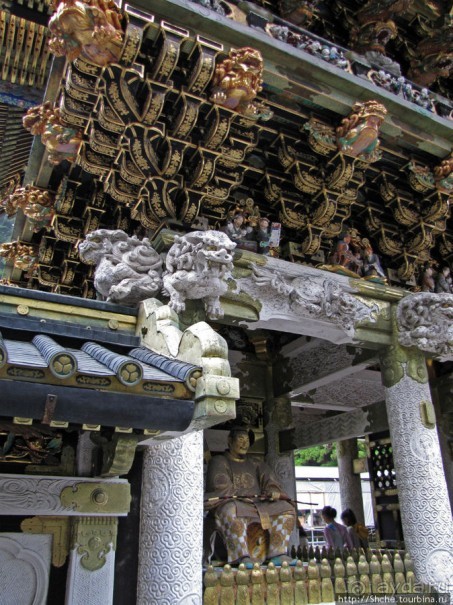 "Никогда не говори "прекрасно", если не видел Никко"