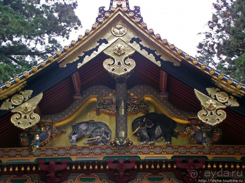 "Никогда не говори "прекрасно", если не видел Никко"