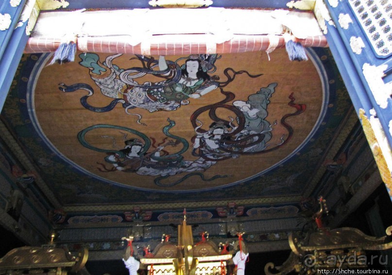 "Никогда не говори "прекрасно", если не видел Никко"