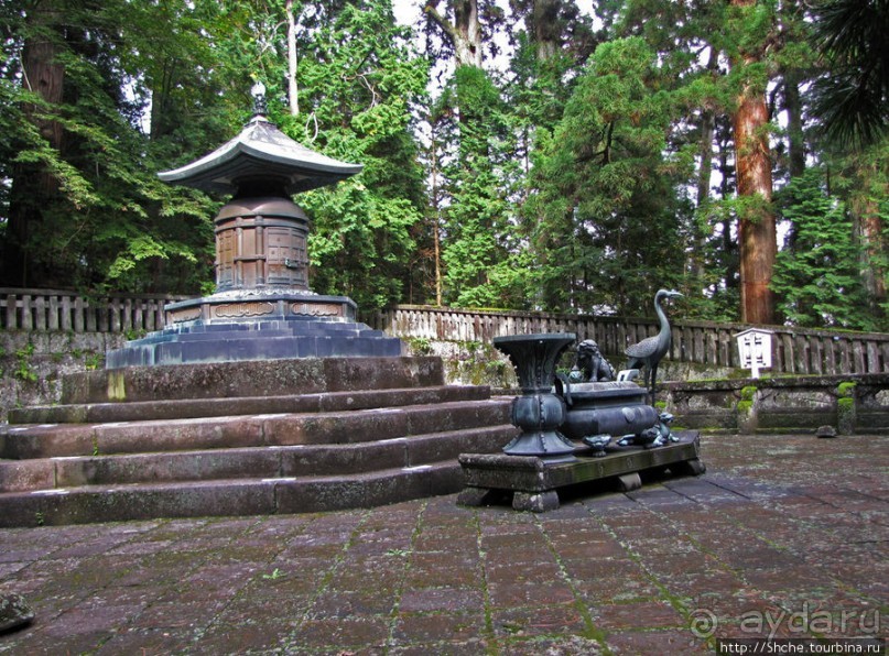 "Никогда не говори "прекрасно", если не видел Никко"