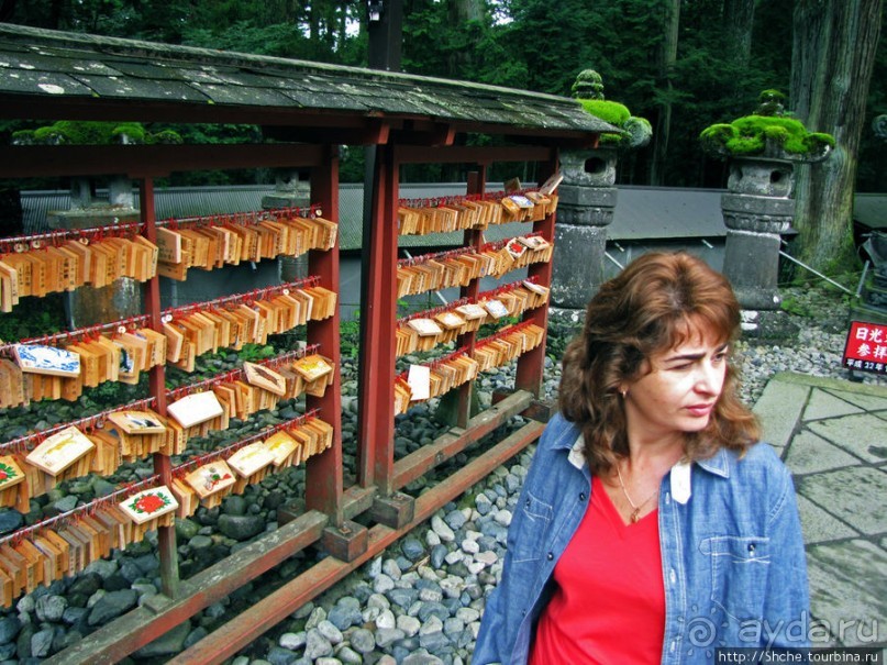 "Никогда не говори "прекрасно", если не видел Никко"