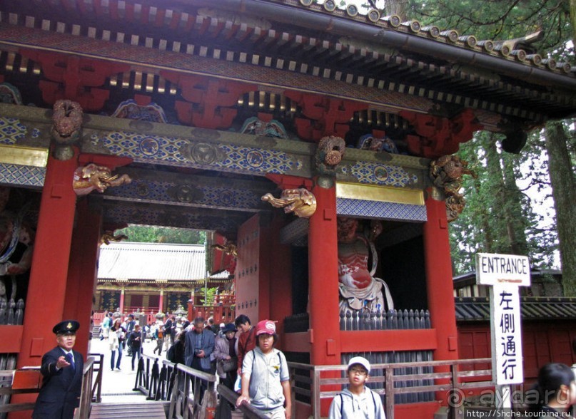 "Никогда не говори "прекрасно", если не видел Никко"