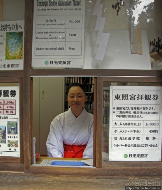 "Никогда не говори "прекрасно", если не видел Никко"