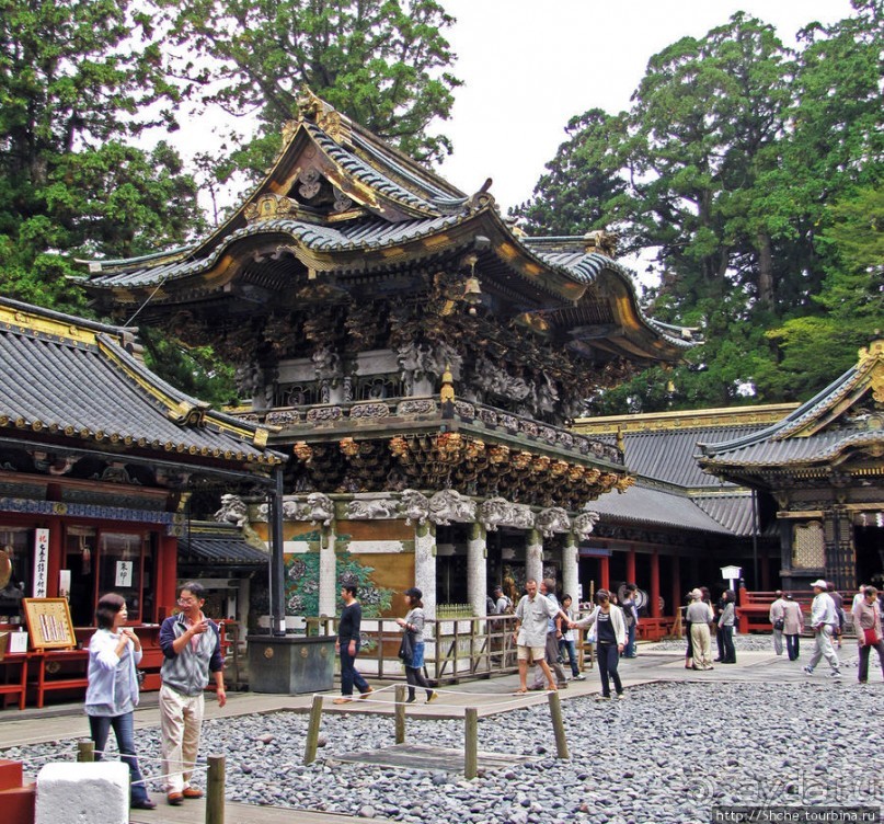 "Никогда не говори "прекрасно", если не видел Никко"