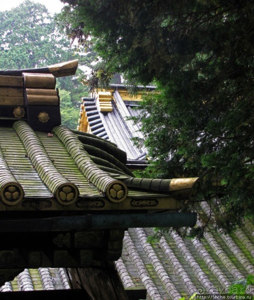 "Никогда не говори "прекрасно", если не видел Никко"