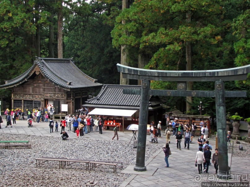 "Никогда не говори "прекрасно", если не видел Никко"