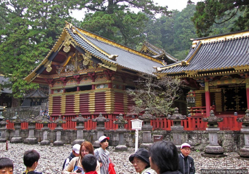 "Никогда не говори "прекрасно", если не видел Никко"