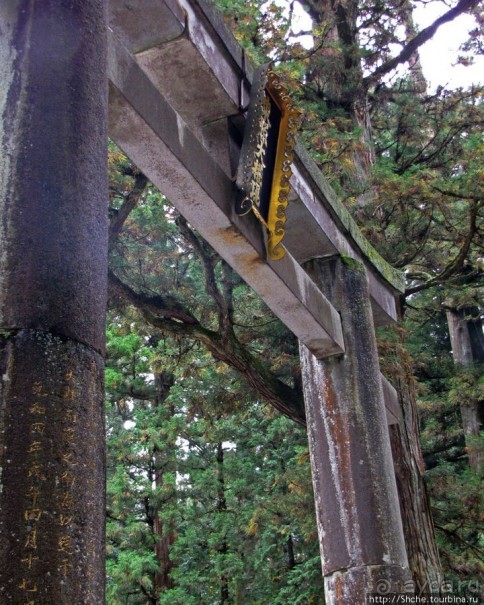 "Никогда не говори "прекрасно", если не видел Никко"