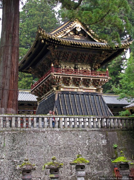 "Никогда не говори "прекрасно", если не видел Никко"