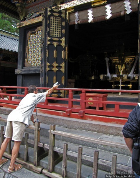 "Никогда не говори "прекрасно", если не видел Никко"