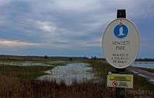 Гуси да болота... Национальный парк Хортобадь (ЮНЕСКО №474)