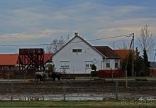 Гуси да болота... Национальный парк Хортобадь (ЮНЕСКО №474)