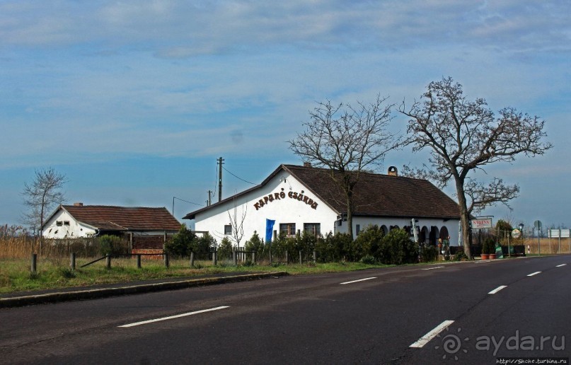 Гуси да болота... Национальный парк Хортобадь (ЮНЕСКО №474)