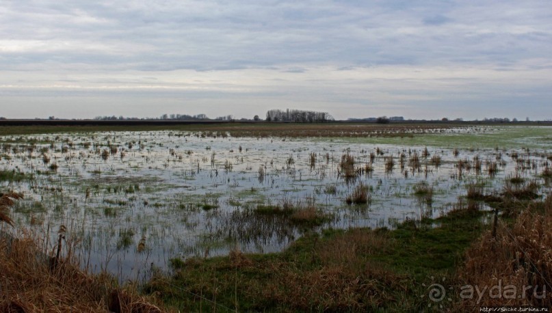 фото Дебрецена