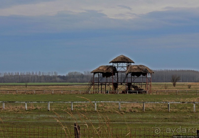 фото Дебрецена