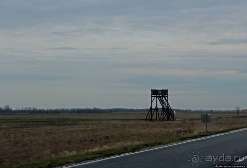 фото Дебрецена