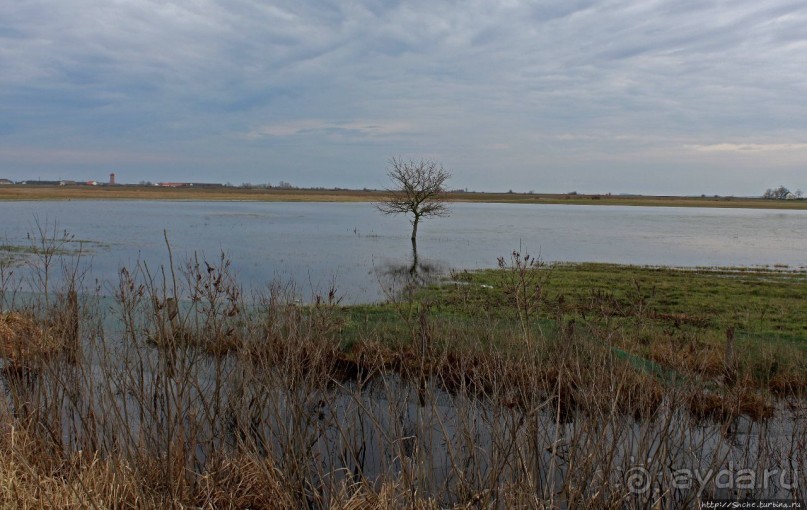 фото Дебрецена