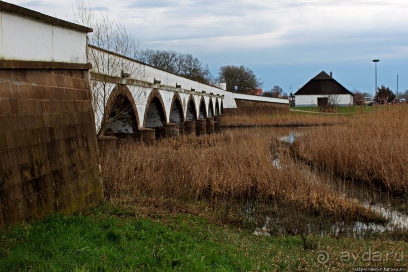 Гуси да болота... Национальный парк Хортобадь (ЮНЕСКО №474)