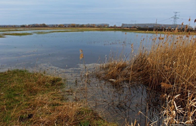 фото Дебрецена