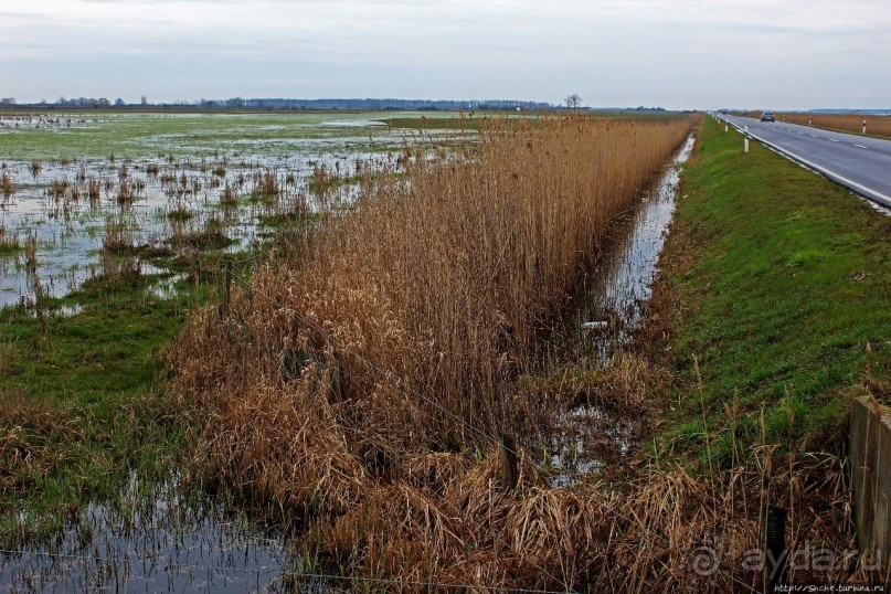 фото Дебрецена