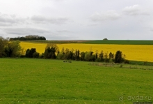 West Kennet Long Barrow. Неолитическая гробница близ Эйвбери