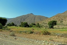 Эфиопские картинки. Регион Афар