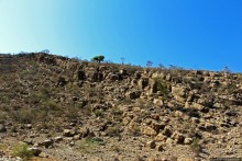 Эфиопские картинки. Регион Афар